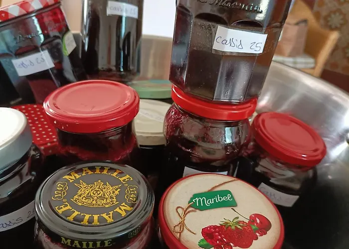 La Salamandre De L'escat 3* Montastruc-de-Salies