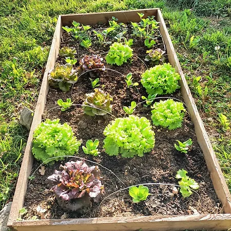 La Salamandre De L'escat Montastruc-de-Salies