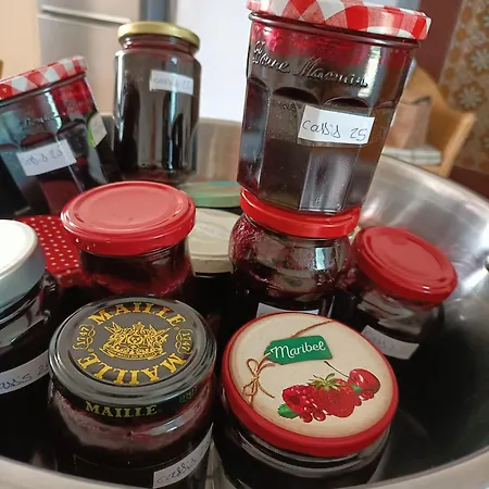 La Salamandre De L'escat 3* Montastruc-de-Salies